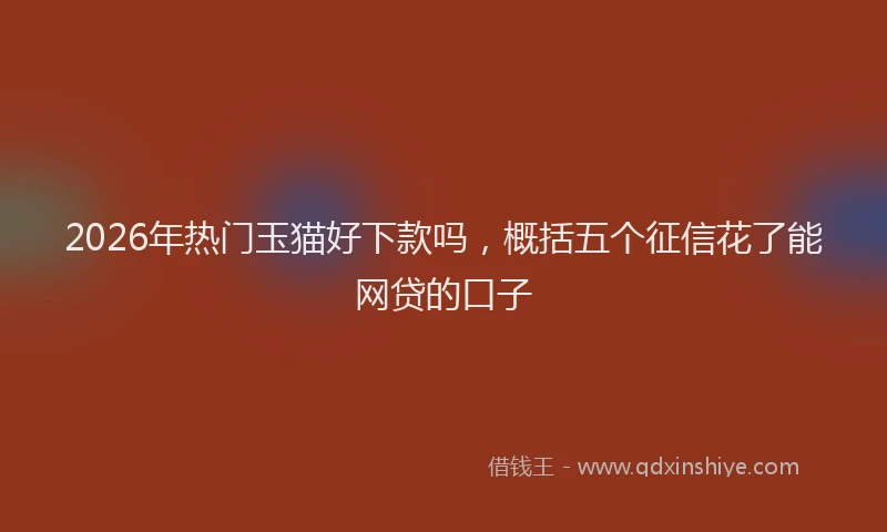 2026年热门玉猫好下款吗，概括五个征信花了能网贷的口子