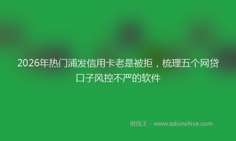 2026年热门浦发信用卡老是被拒，梳理五个网贷口子风控不严的软件