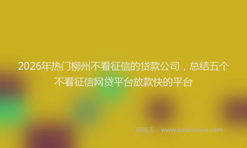2026年热门柳州不看征信的贷款公司，总结五个不看征信网贷平台放款快的平台