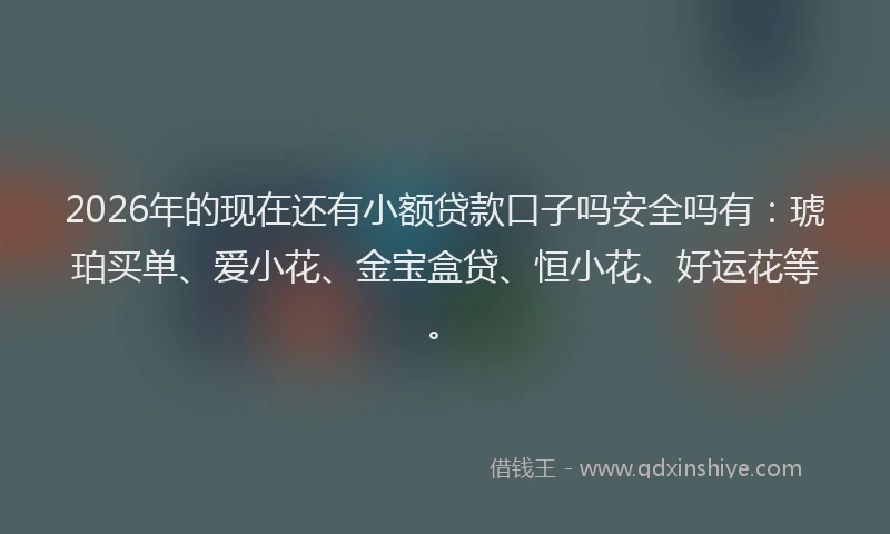 2026年的现在还有小额贷款口子吗安全吗有：琥珀买单、爱小花、金宝盒贷、恒小花、好运花等。