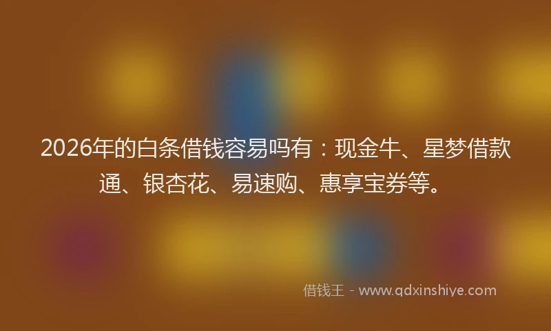 2026年的白条借钱容易吗有：现金牛、星梦借款通、银杏花、易速购、惠享宝券等。