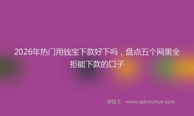 2026年热门用钱宝下款好下吗，盘点五个网黑全拒能下款的口子
