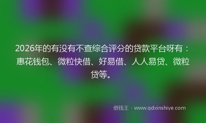 2026年的有没有不查综合评分的贷款平台呀有：惠花钱包、微粒快借、好易借、人人易贷、微粒贷等。