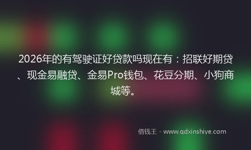 2026年的有驾驶证好贷款吗现在有：招联好期贷、现金易融贷、金易Pro钱包、花豆分期、小狗商城等。