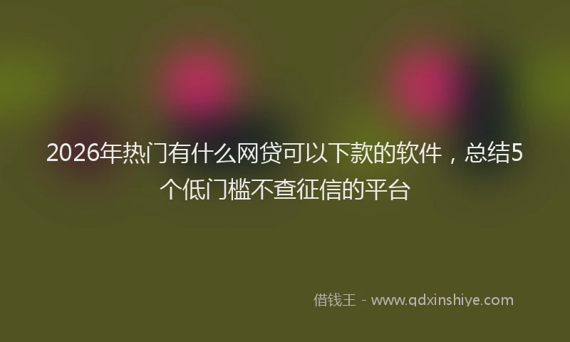 2026年热门有什么网贷可以下款的软件，总结5个低门槛不查征信的平台