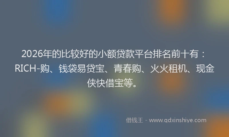 2026年的比较好的小额贷款平台排名前十有：RICH-购、钱袋易贷宝、青春购、火火租机、现金侠快借宝等。