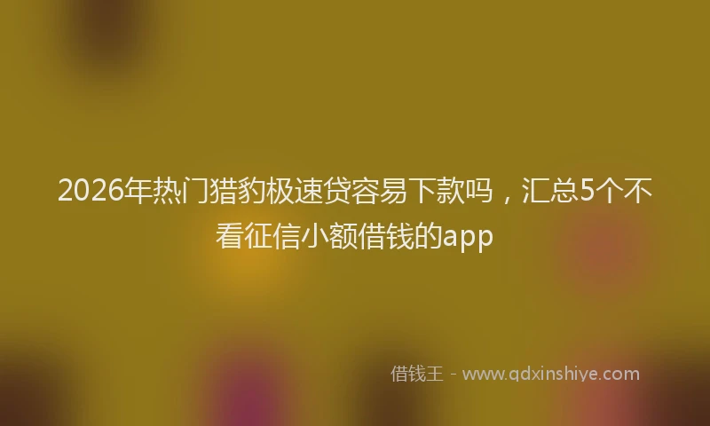 2026年热门猎豹极速贷容易下款吗，汇总5个不看征信小额借钱的app