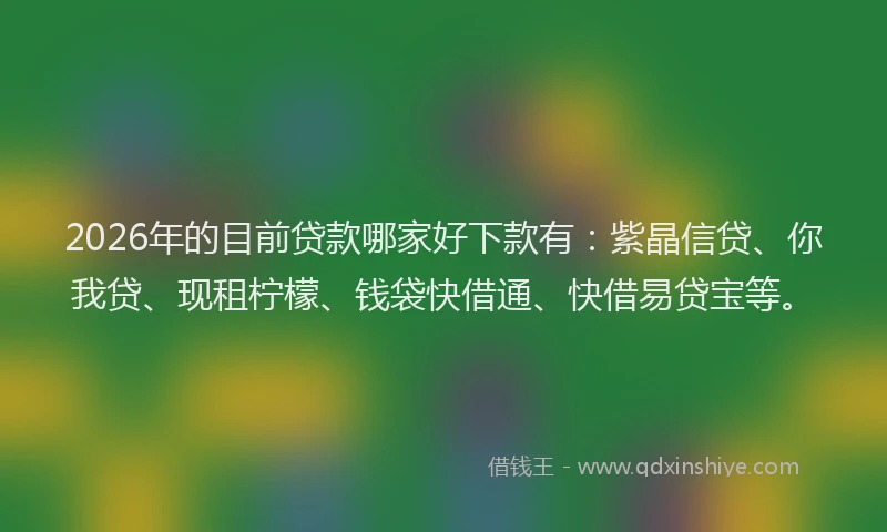2026年的目前贷款哪家好下款有：紫晶信贷、你我贷、现租柠檬、钱袋快借通、快借易贷宝等。
