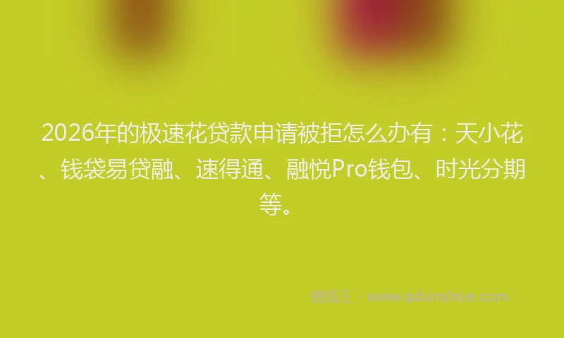 2026年的极速花贷款申请被拒怎么办有：天小花、钱袋易贷融、速得通、融悦Pro钱包、时光分期等。