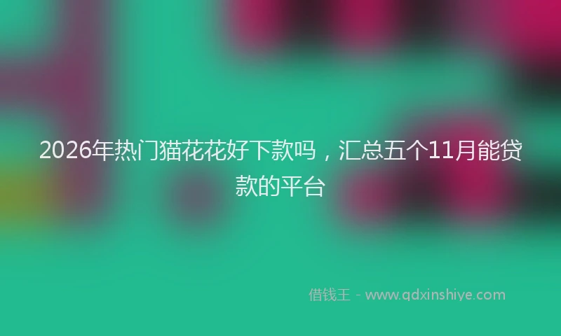 2026年热门猫花花好下款吗，汇总五个11月能贷款的平台