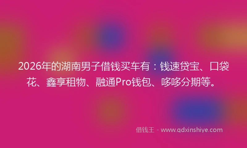 2026年的湖南男子借钱买车有：钱速贷宝、口袋花、鑫享租物、融通Pro钱包、哆哆分期等。