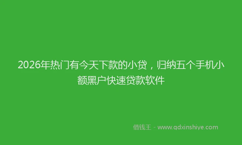 2026年热门有今天下款的小贷，归纳五个手机小额黑户快速贷款软件