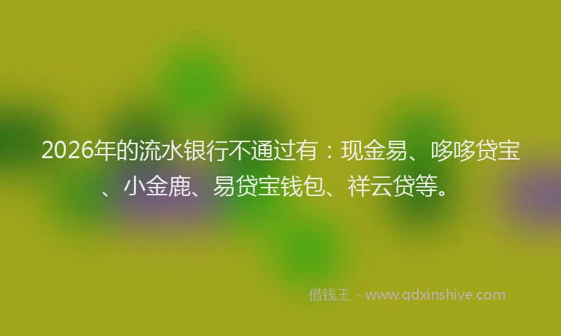 2026年的流水银行不通过有：现金易、哆哆贷宝、小金鹿、易贷宝钱包、祥云贷等。
