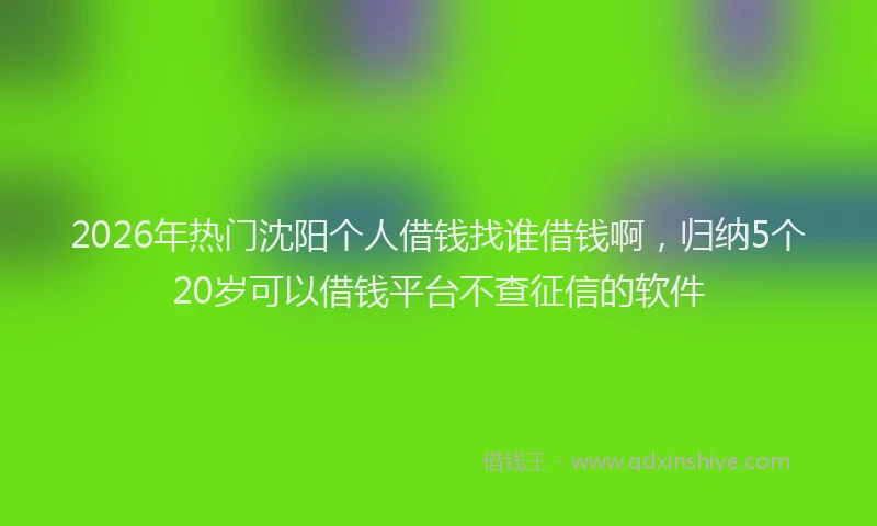 2026年热门沈阳个人借钱找谁借钱啊，归纳5个20岁可以借钱平台不查征信的软件