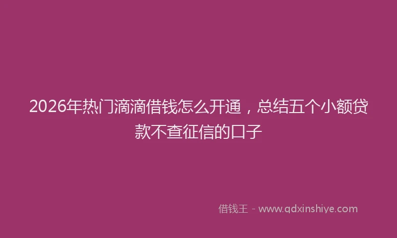 2026年热门滴滴借钱怎么开通，总结五个小额贷款不查征信的口子
