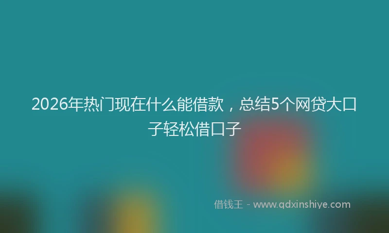 2026年热门现在什么能借款，总结5个网贷大口子轻松借口子