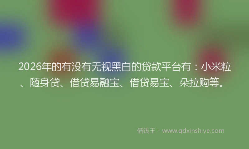 2026年的有没有无视黑白的贷款平台有：小米粒、随身贷、借贷易融宝、借贷易宝、朵拉购等。