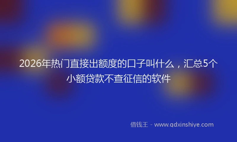 2026年热门直接出额度的口子叫什么，汇总5个小额贷款不查征信的软件