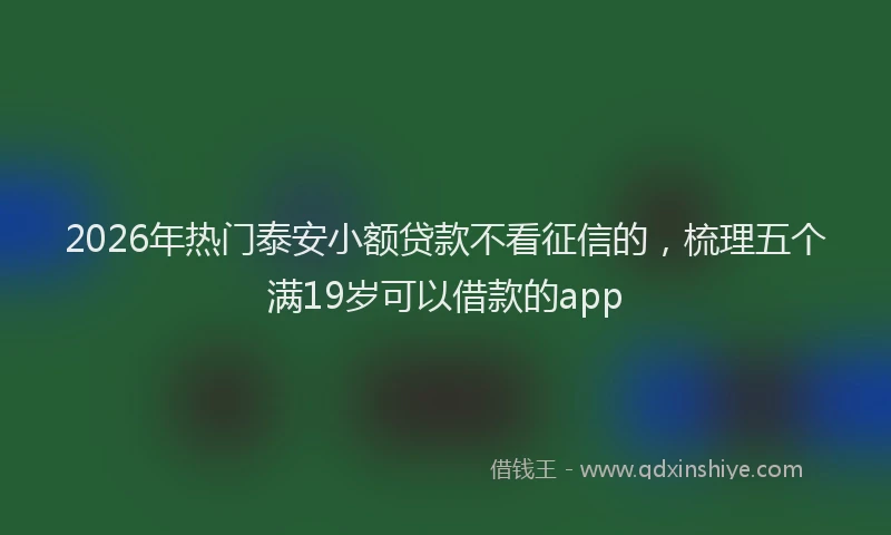 2026年热门泰安小额贷款不看征信的,梳理五个满19岁可以借款的app