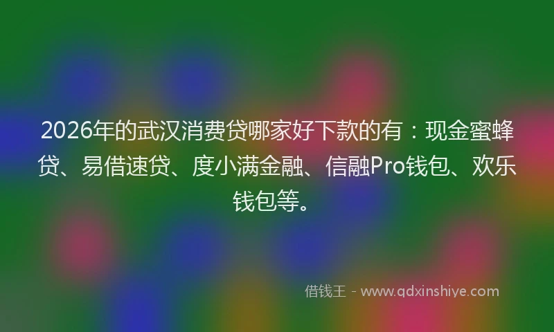 2026年的武汉消费贷哪家好下款的有：现金蜜蜂贷、易借速贷、度小满金融、信融Pro钱包、欢乐钱包等。