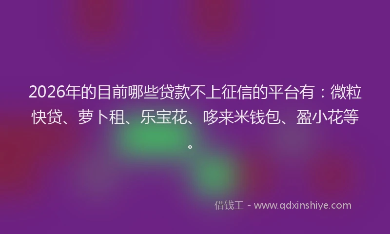 2026年的目前哪些贷款不上征信的平台有:微粒快贷、萝卜租、乐宝花、哆来米钱包、盈小花等。