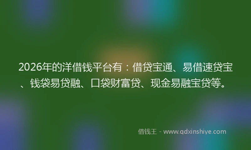 2026年的洋借钱平台有：借贷宝通、易借速贷宝、钱袋易贷融、口袋财富贷、现金易融宝贷等。