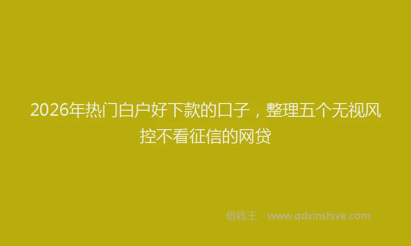 2026年热门白户好下款的口子，整理五个无视风控不看征信的网贷