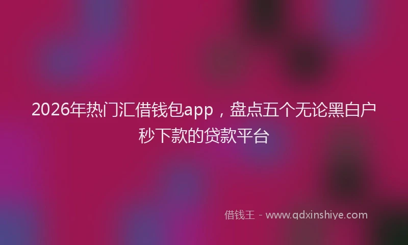 2026年热门汇借钱包app，盘点五个无论黑白户秒下款的贷款平台