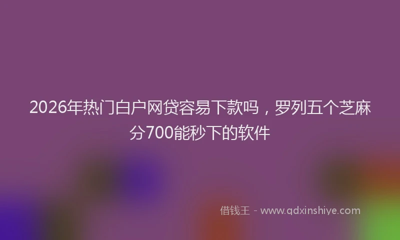 2026年热门白户网贷容易下款吗,罗列五个芝麻分700能秒下的软件