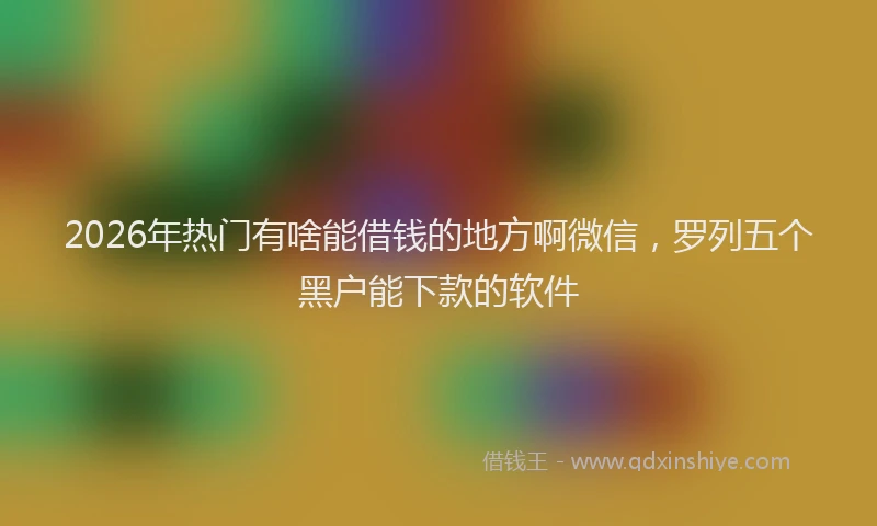 2026年热门有啥能借钱的地方啊微信，罗列五个黑户能下款的软件