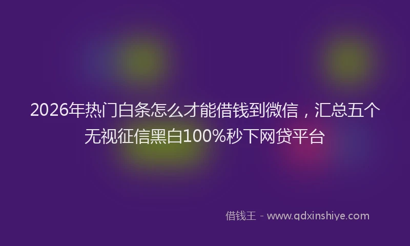2026年热门白条怎么才能借钱到微信，汇总五个无视征信黑白100%秒下网贷平台