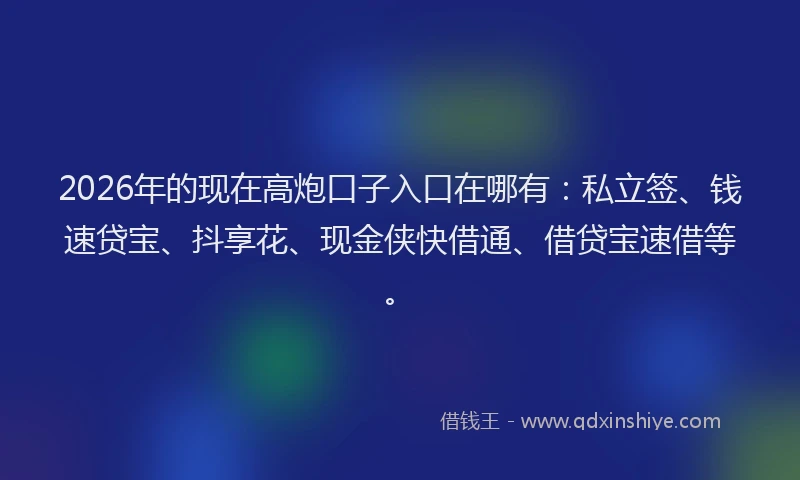 2026年的现在高炮口子入口在哪有：私立签、钱速贷宝、抖享花、现金侠快借通、借贷宝速借等。