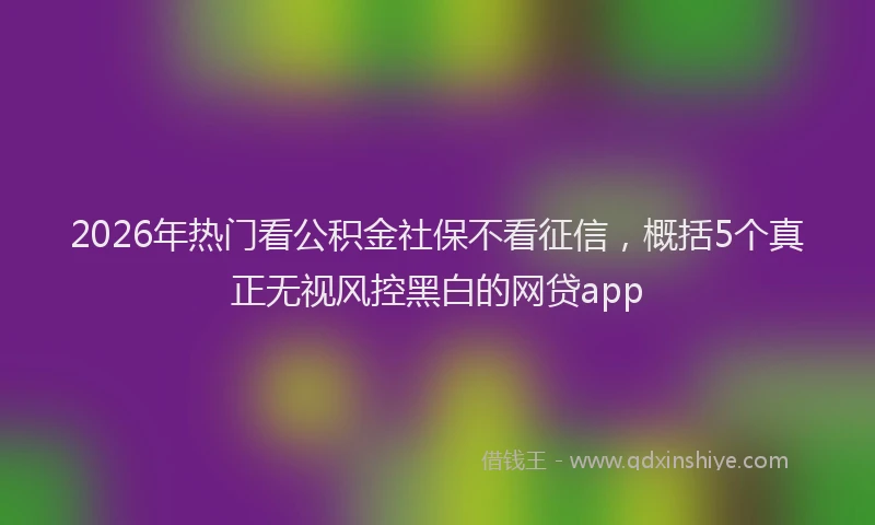 2026年热门看公积金社保不看征信，概括5个真正无视风控黑白的网贷app