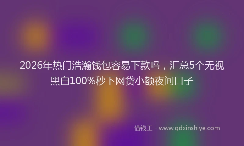 2026年热门浩瀚钱包容易下款吗，汇总5个无视黑白100%秒下网贷小额夜间口子