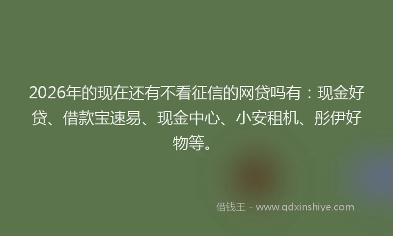 2026年的现在还有不看征信的网贷吗有：现金好贷、借款宝速易、现金中心、小安租机、彤伊好物等。