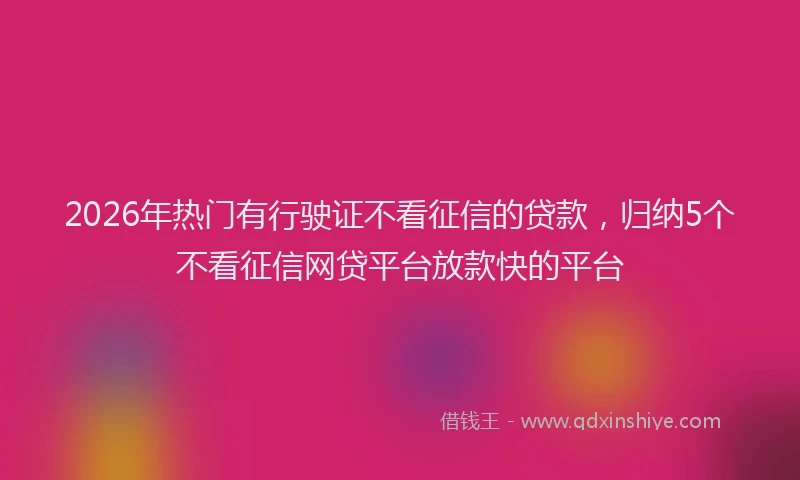 2026年热门有行驶证不看征信的贷款，归纳5个不看征信网贷平台放款快的平台