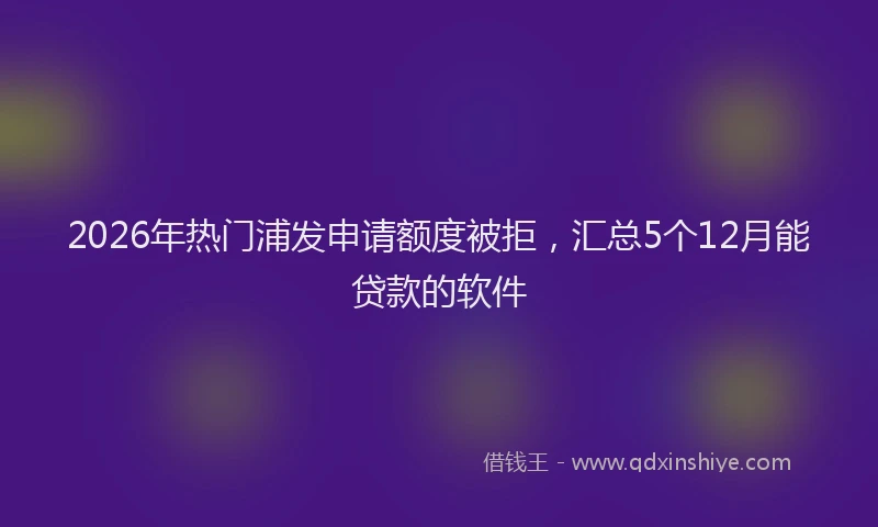 2026年热门浦发申请额度被拒，汇总5个12月能贷款的软件