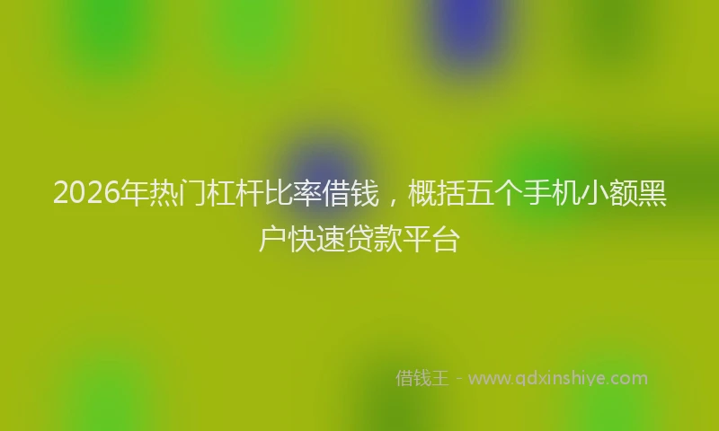 2026年热门杠杆比率借钱，概括五个手机小额黑户快速贷款平台