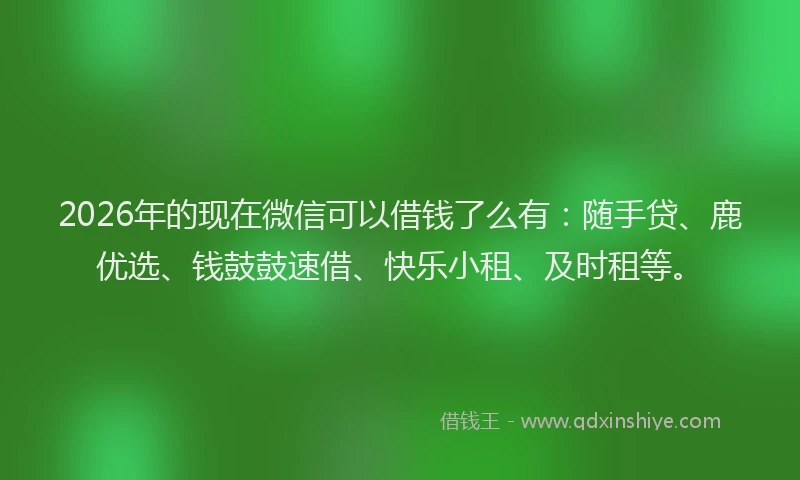 2026年的现在微信可以借钱了么有：随手贷、鹿优选、钱鼓鼓速借、快乐小租、及时租等。