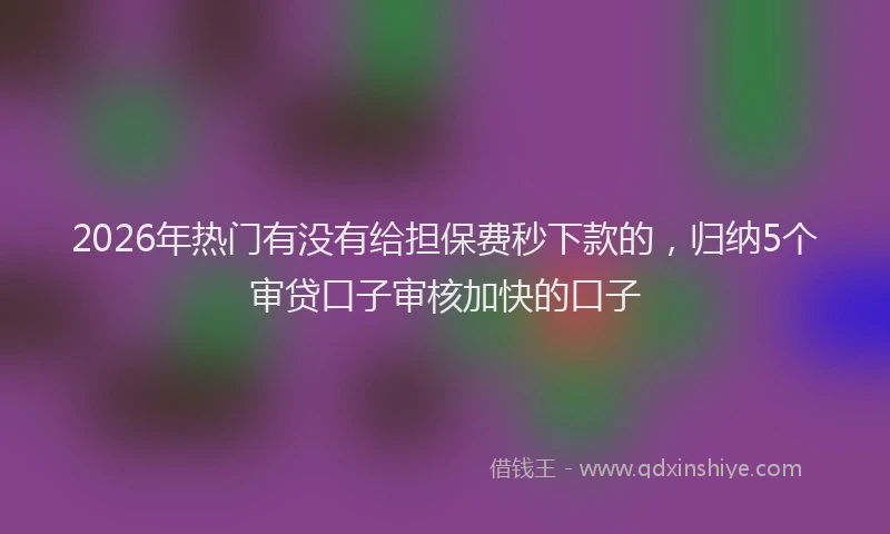 2026年热门有没有给担保费秒下款的，归纳5个审贷口子审核加快的口子