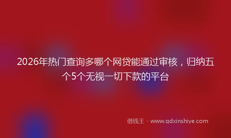 2026年热门查询多哪个网贷能通过审核，归纳五个5个无视一切下款的平台