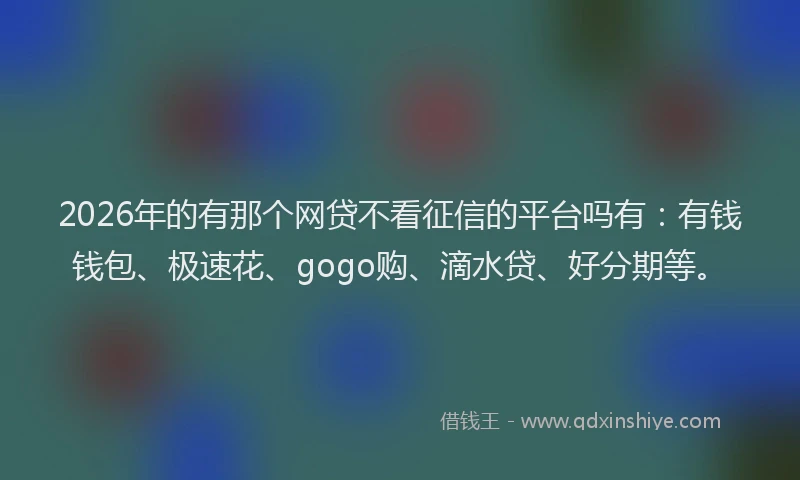 2026年的有那个网贷不看征信的平台吗有：有钱钱包、极速花、gogo购、滴水贷、好分期等。