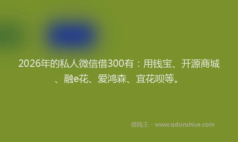 2026年的私人微信借300有：用钱宝、开源商城、融e花、爱鸿森、宜花呗等。