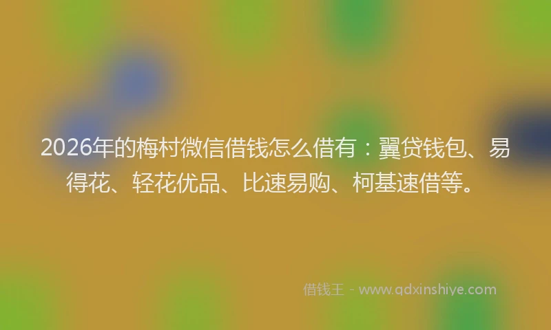 2026年的梅村微信借钱怎么借有：翼贷钱包、易得花、轻花优品、比速易购、柯基速借等。