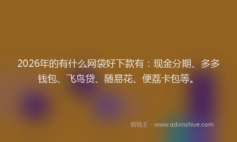 2026年的有什么网袋好下款有：现金分期、多多钱包、飞鸟贷、随易花、便荔卡包等。