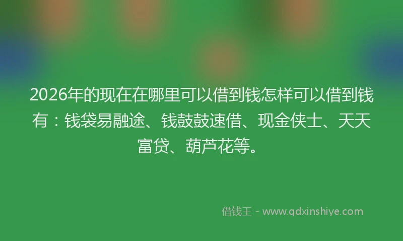 2026年的现在在哪里可以借到钱怎样可以借到钱有：钱袋易融途、钱鼓鼓速借、现金侠士、天天富贷、葫芦花等。