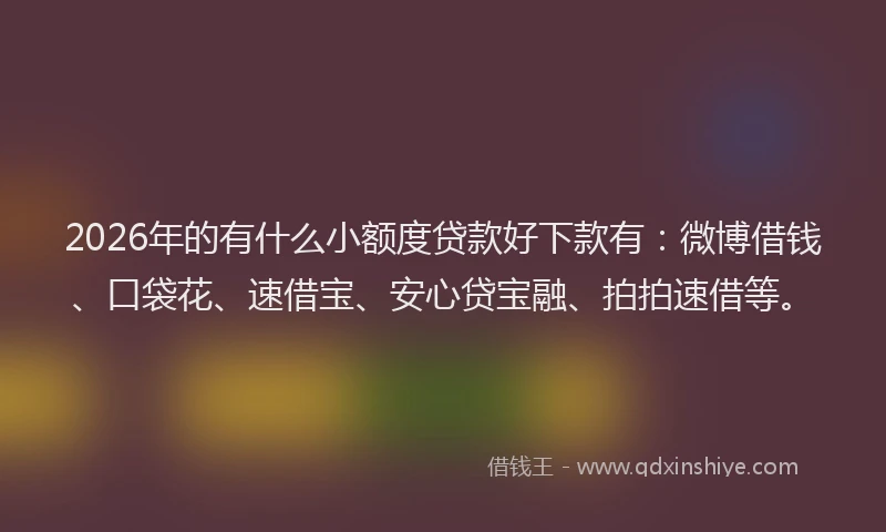 2026年的有什么小额度贷款好下款有：微博借钱、口袋花、速借宝、安心贷宝融、拍拍速借等。