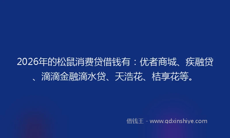 2026年的松鼠消费贷借钱有：优者商城、疾融贷、滴滴金融滴水贷、天浩花、桔享花等。