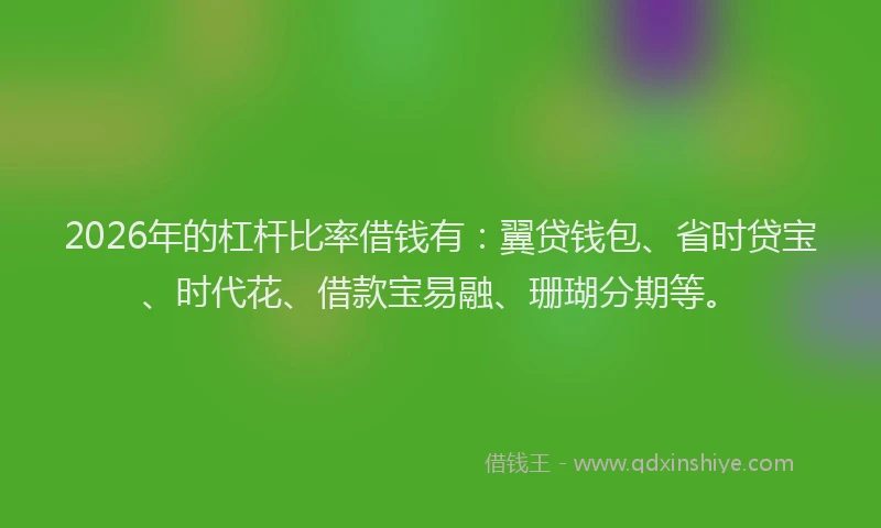 2026年的杠杆比率借钱有：翼贷钱包、省时贷宝、时代花、借款宝易融、珊瑚分期等。