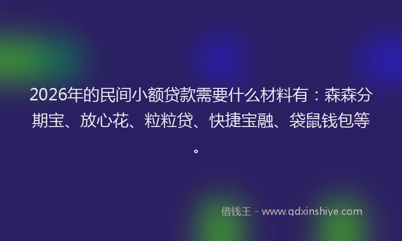 2026年的民间小额贷款需要什么材料有:森森分期宝、放心花、粒粒贷、快捷宝融、袋鼠钱包等。